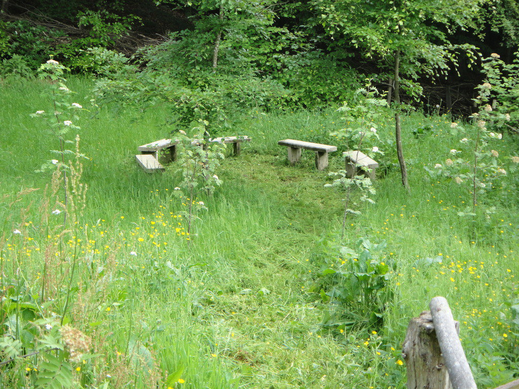 - image: 46