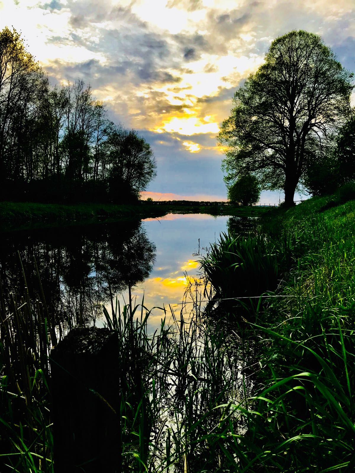 Maison nature à Spijkerboor