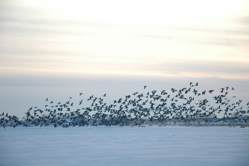 - image: 21