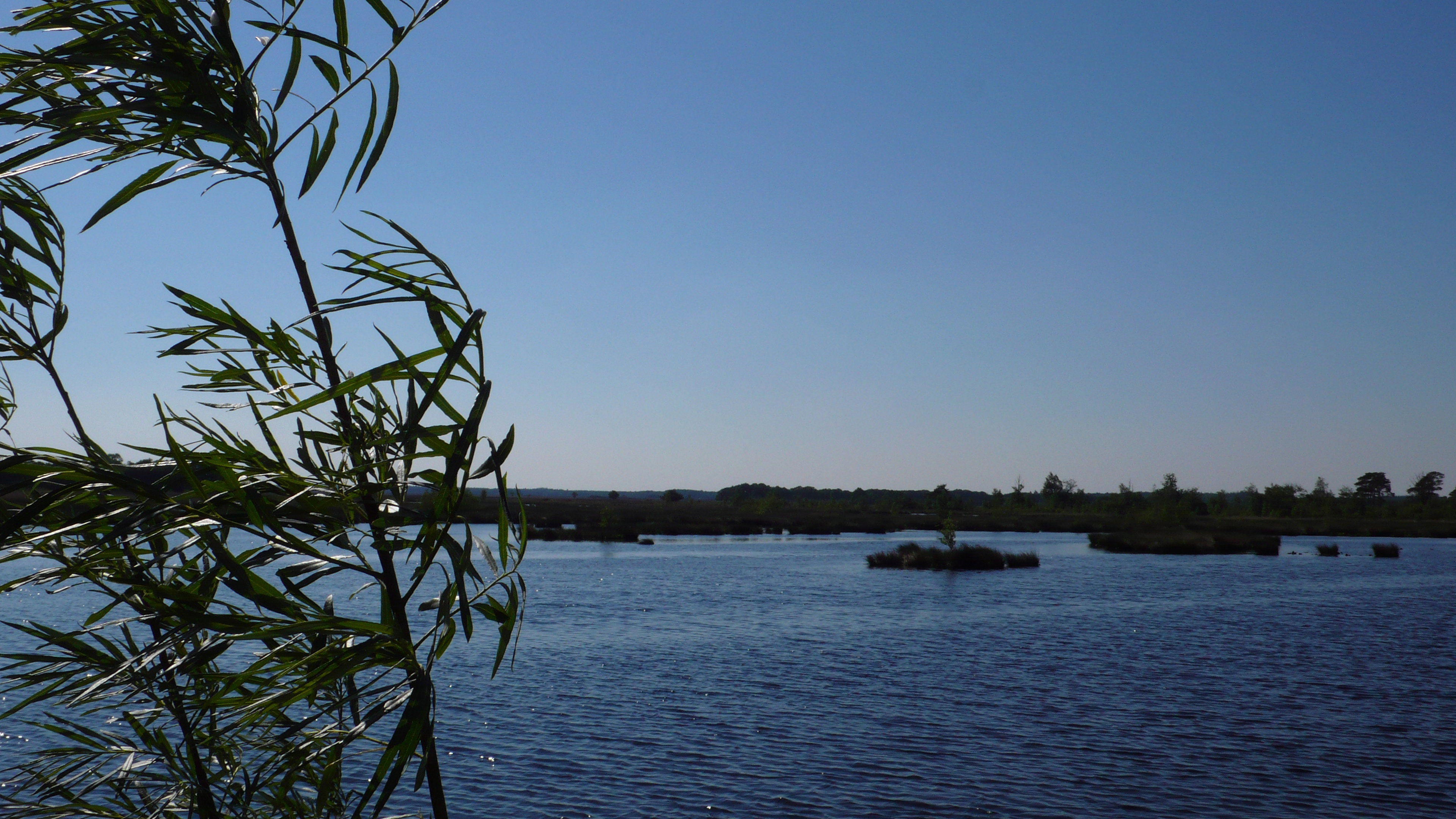 - image: 17