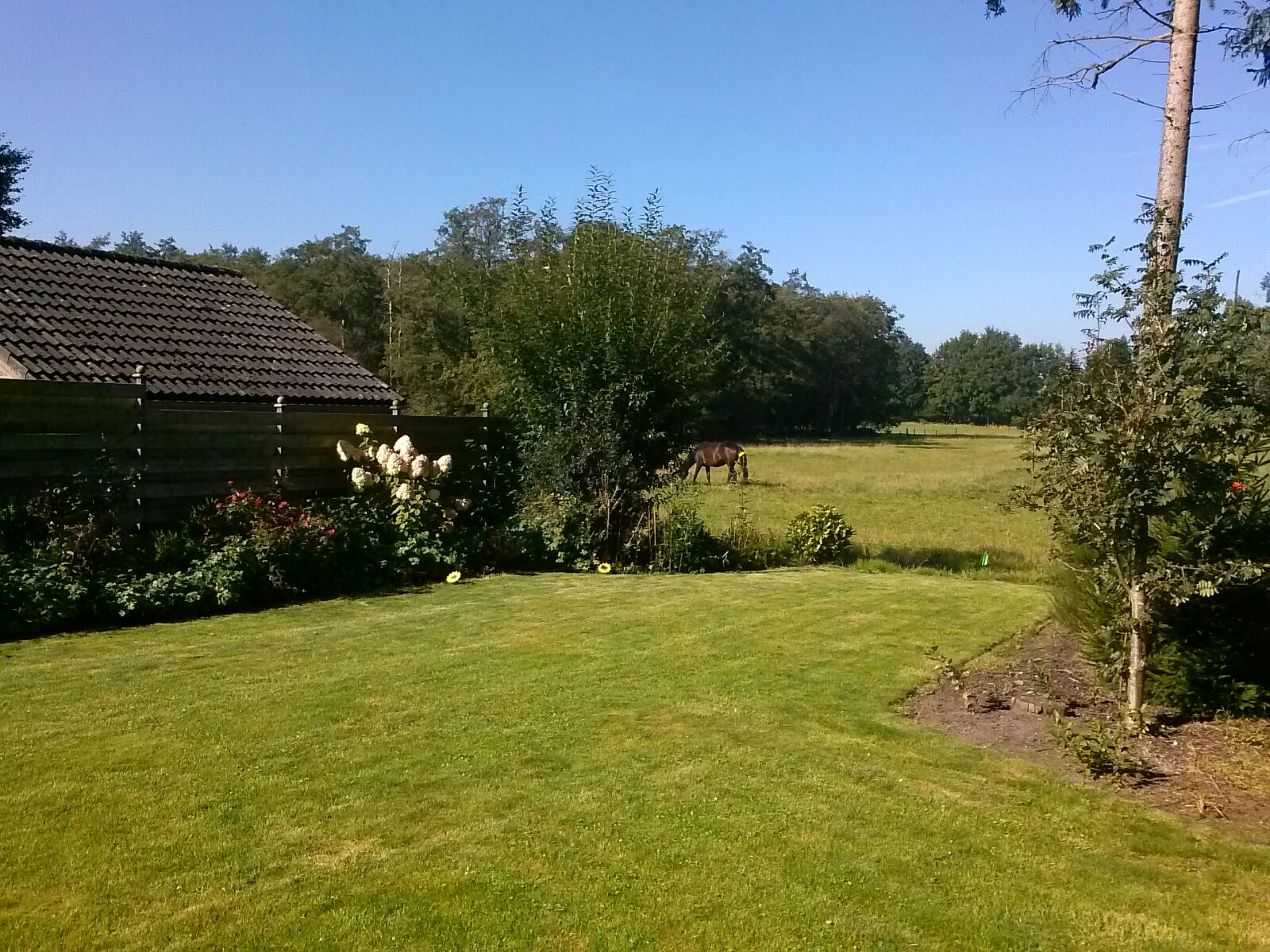 Nature house in Dwingeloo / Lhee