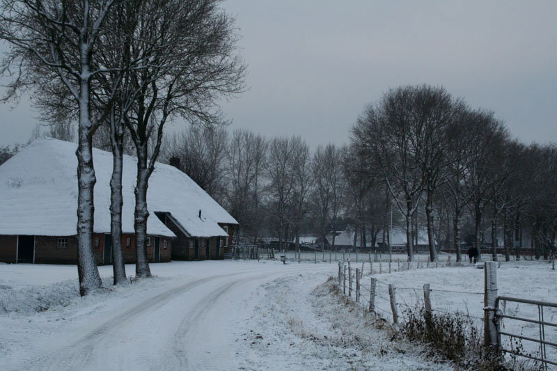 - image: 16