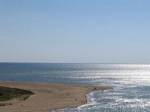 - image: 15