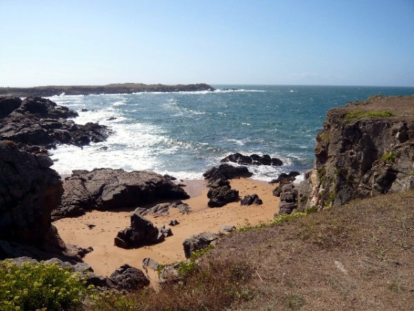 - image: 16