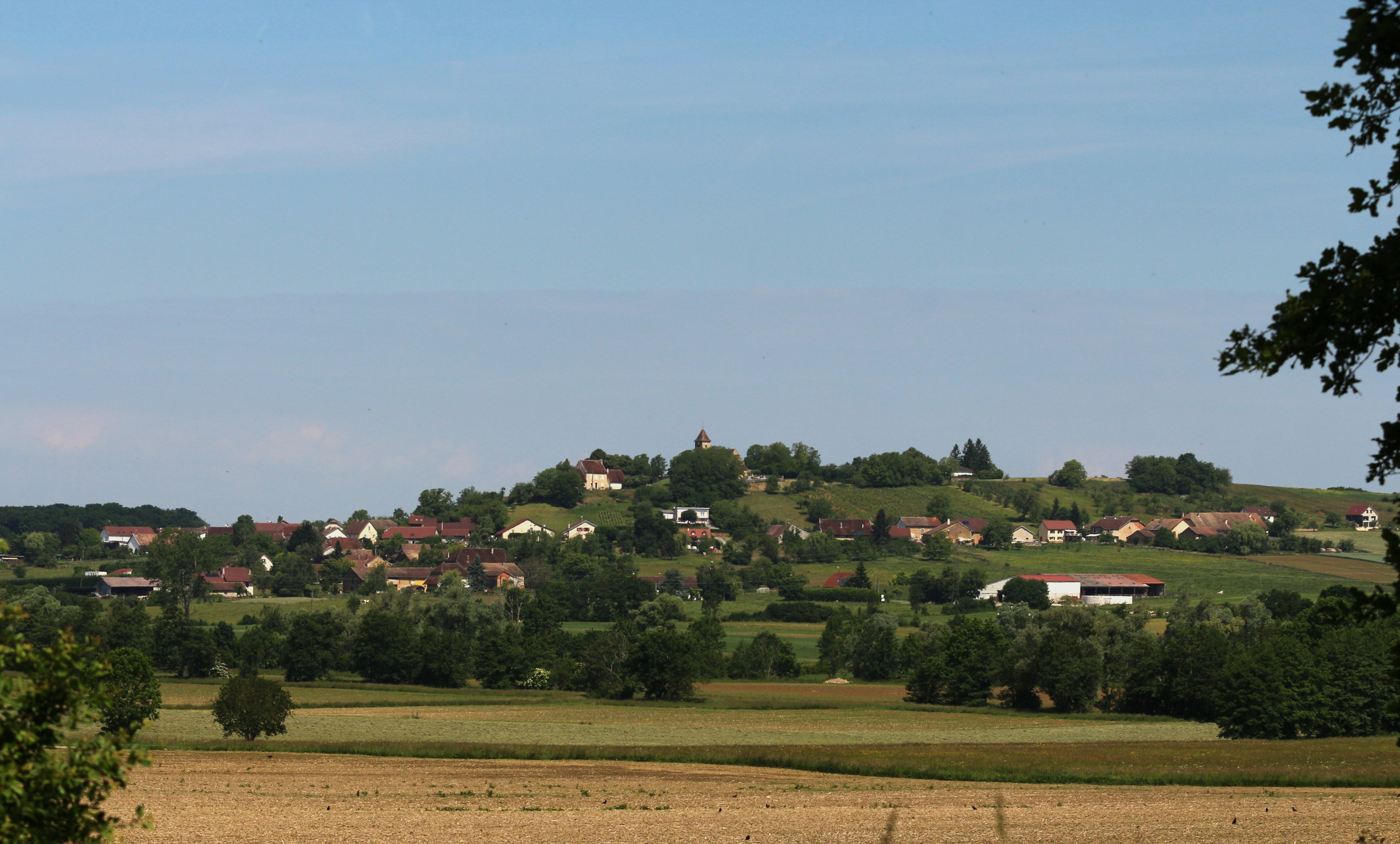 - image: 15