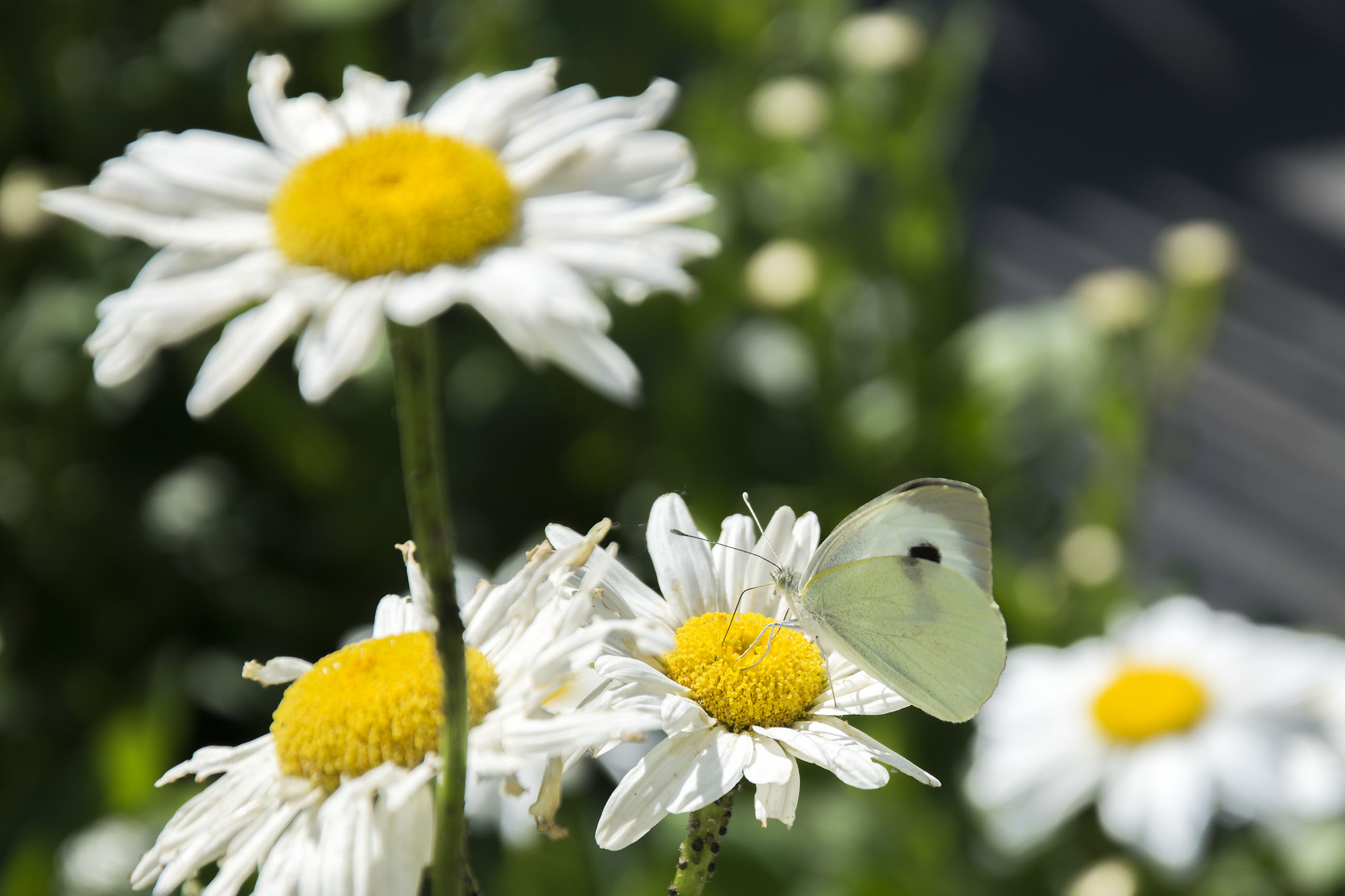 Natuurhuisje in Herderen