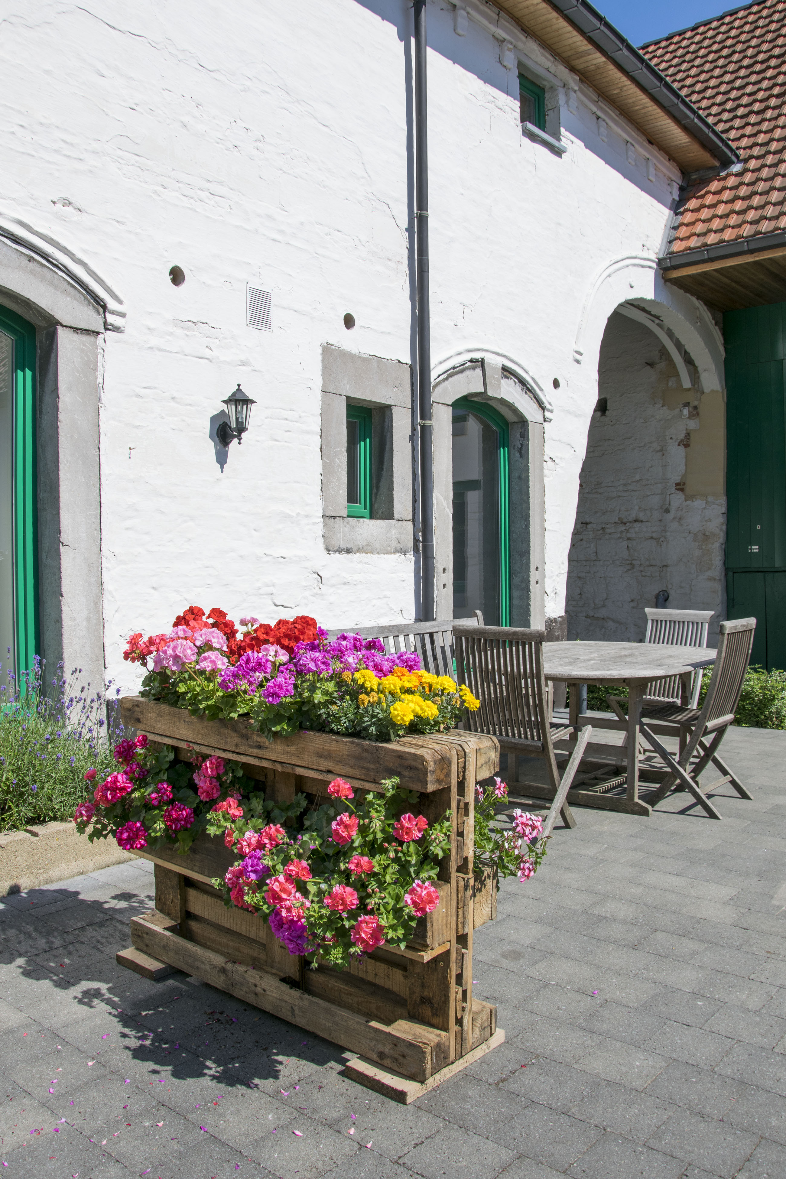 - image: 12