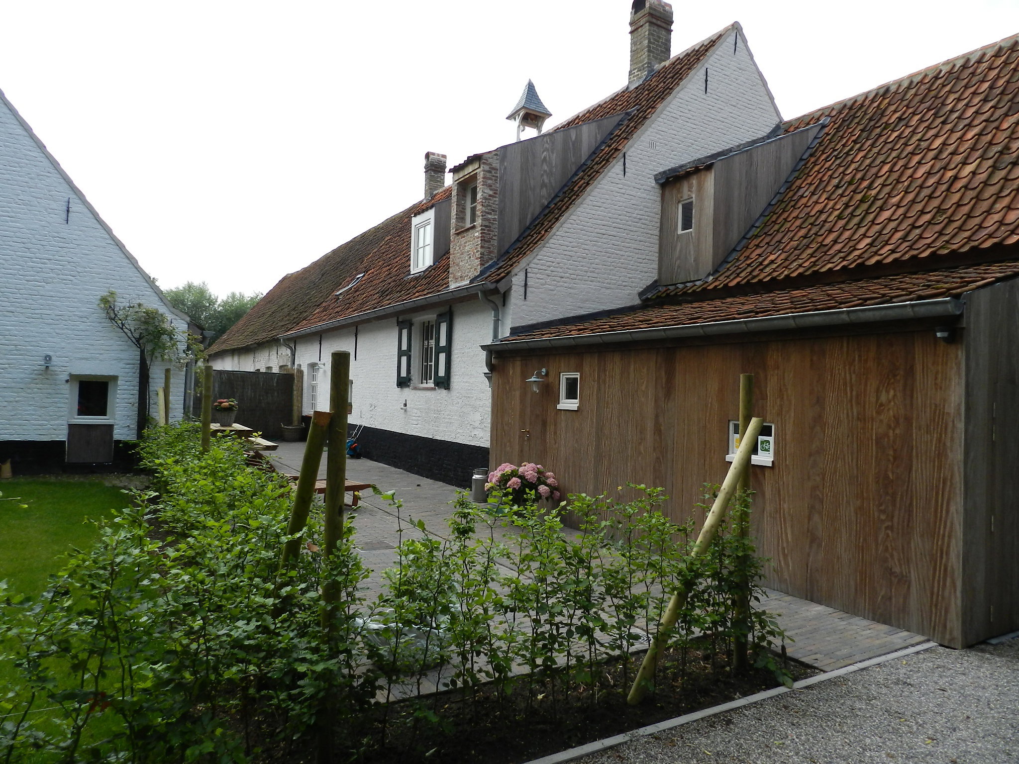 - image: 16