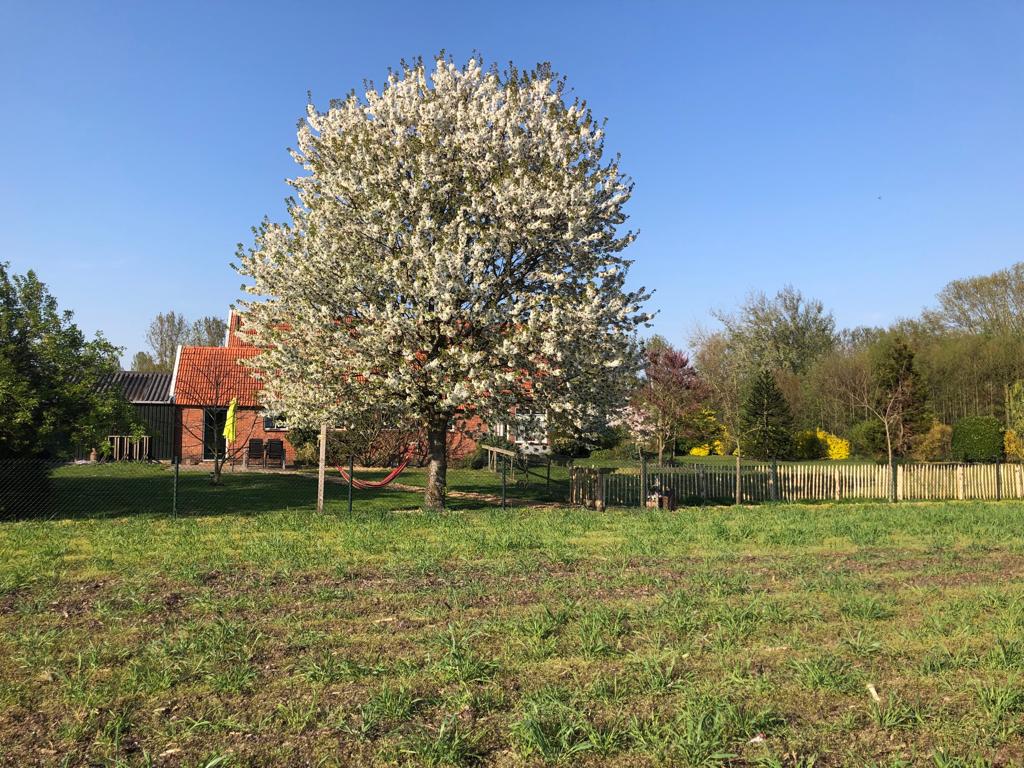 Maison nature à Varsseveld