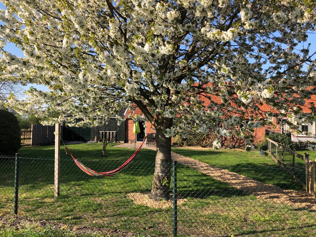 Maison nature à Varsseveld