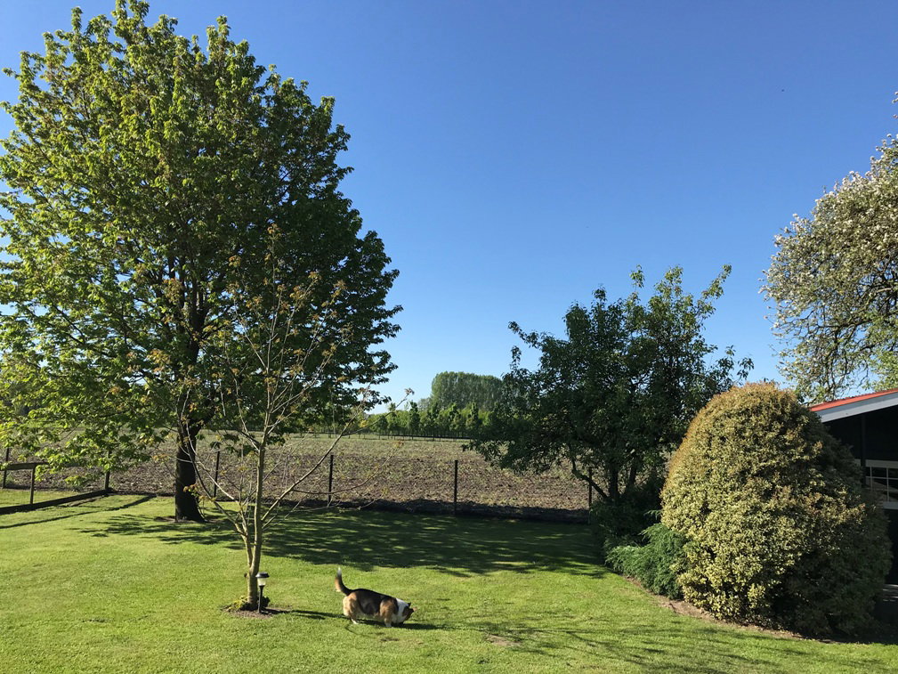 Maison nature à Varsseveld