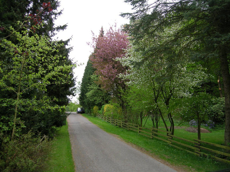 - image: 21