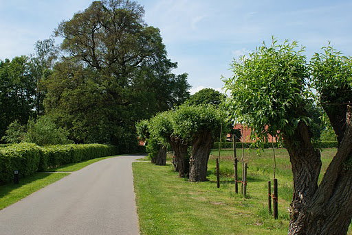 - image: 22