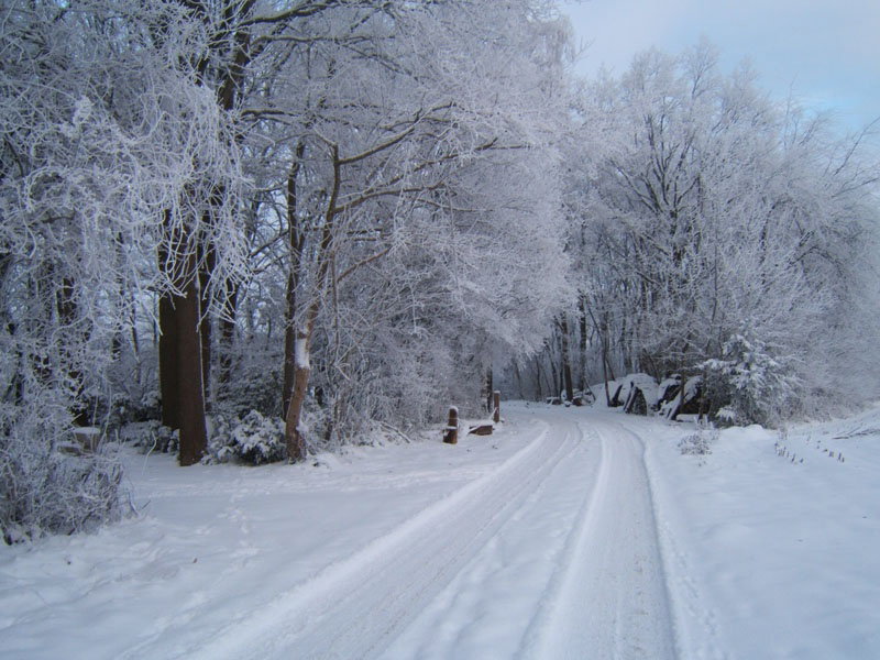 Naturhäuschen in Borculo