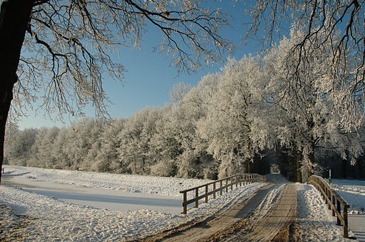- image: 20