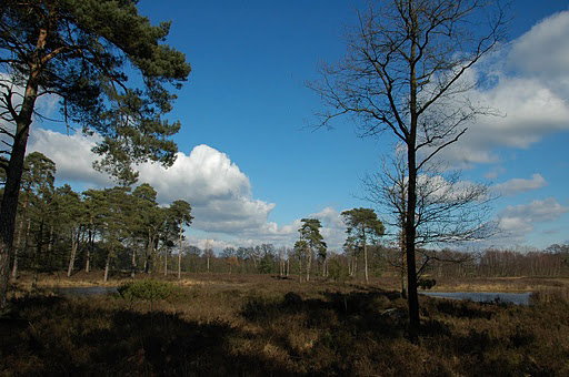 Naturhäuschen in Borculo