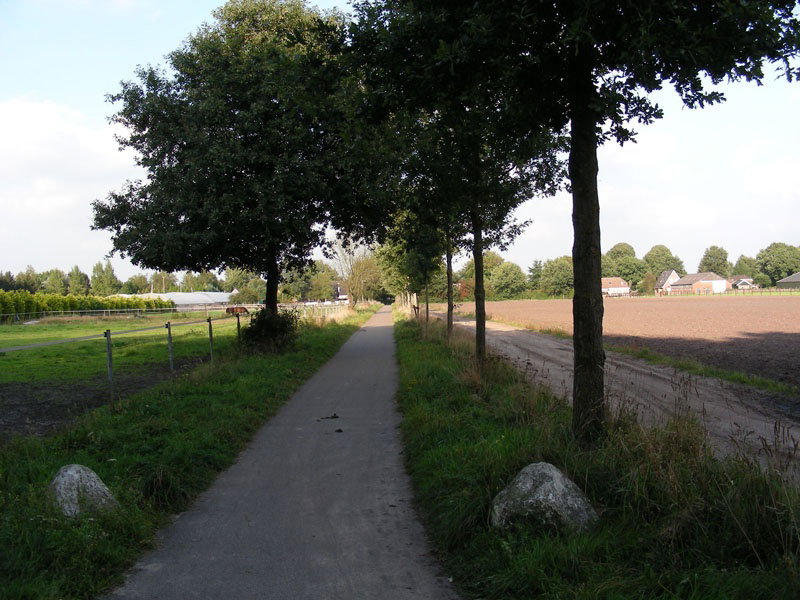 - image: 16