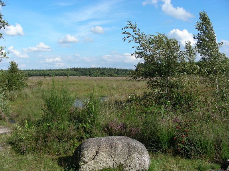 - image: 20