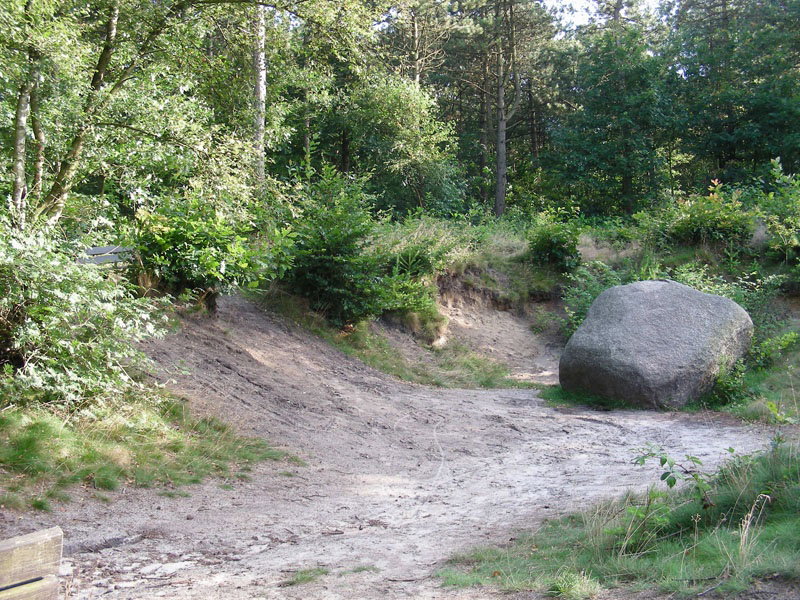 - image: 15