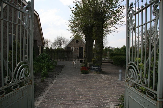 - image: 19