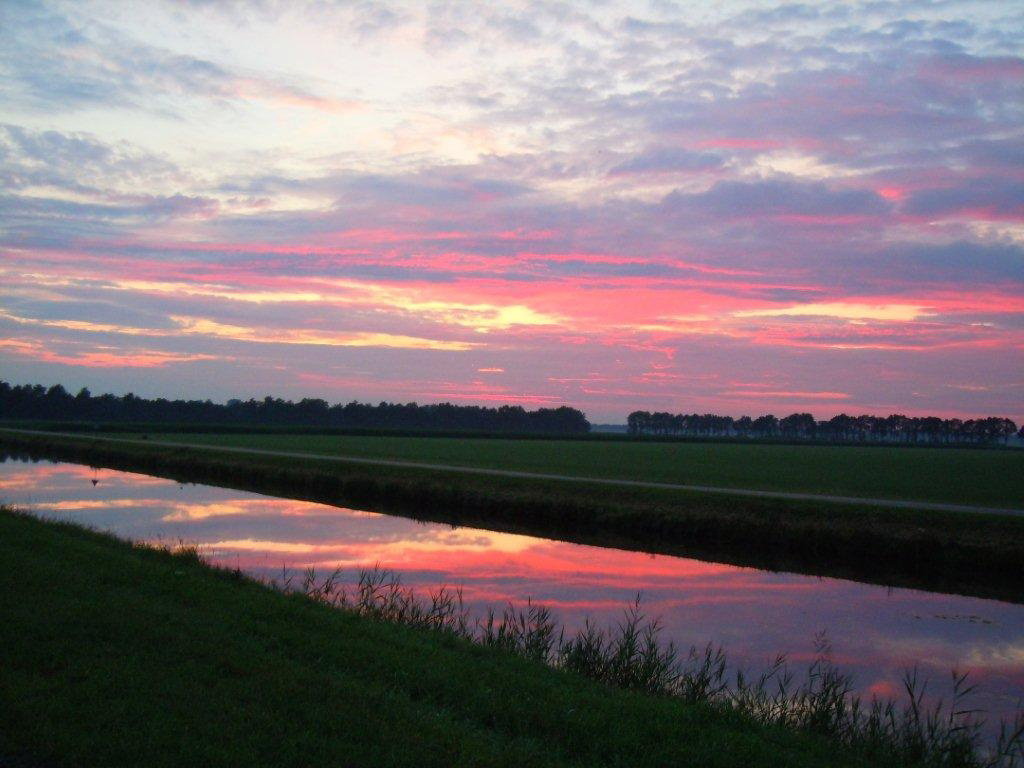 - image: 24