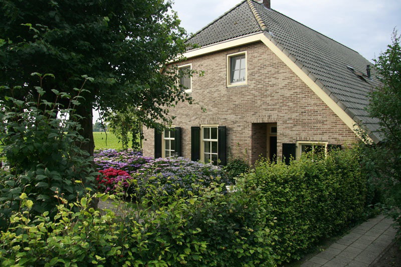 - image: 20