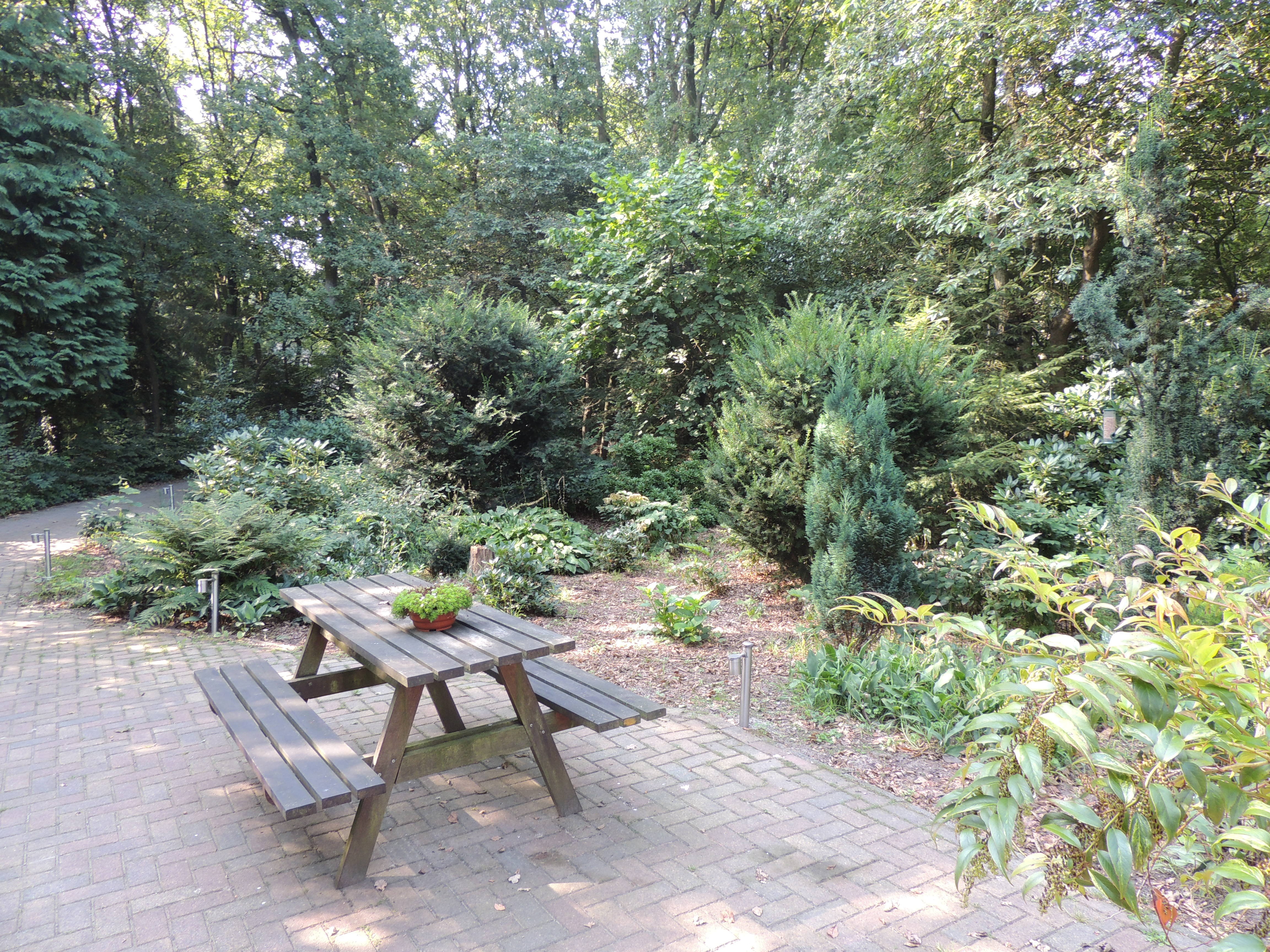 Maison nature à Wateren (Westerveld)