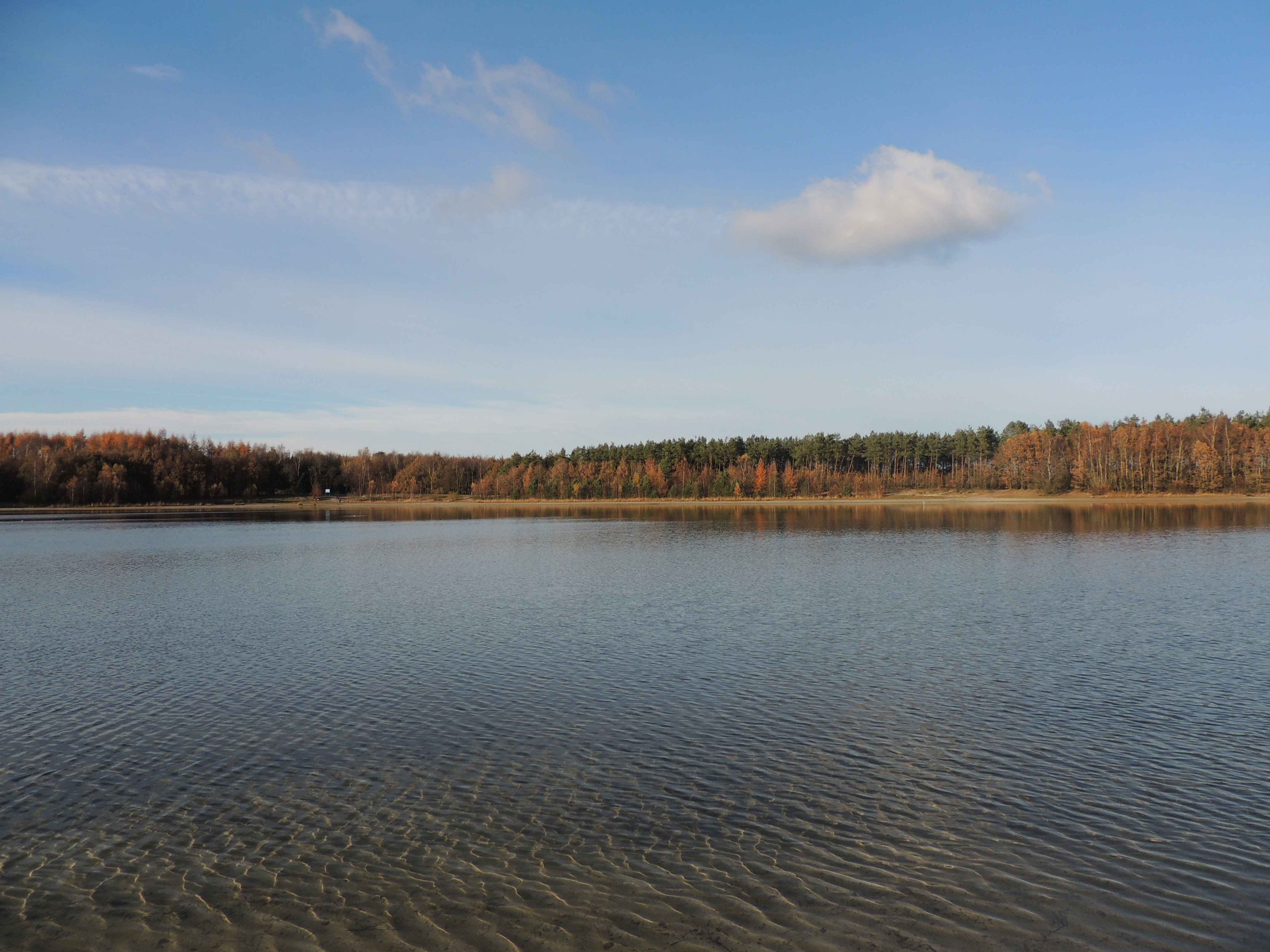 - image: 12