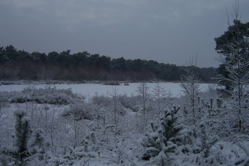 Naturhäuschen in Valkenswaard