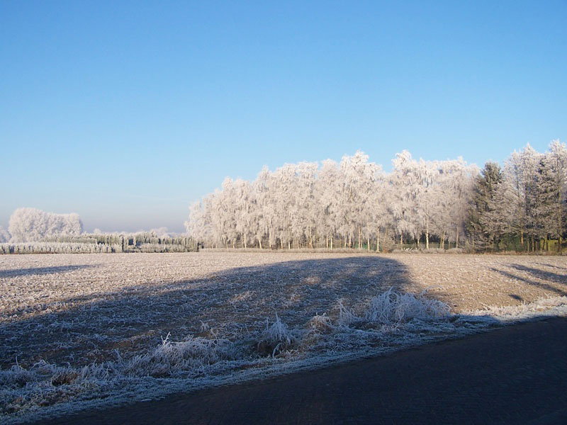 Naturhäuschen in Valkenswaard