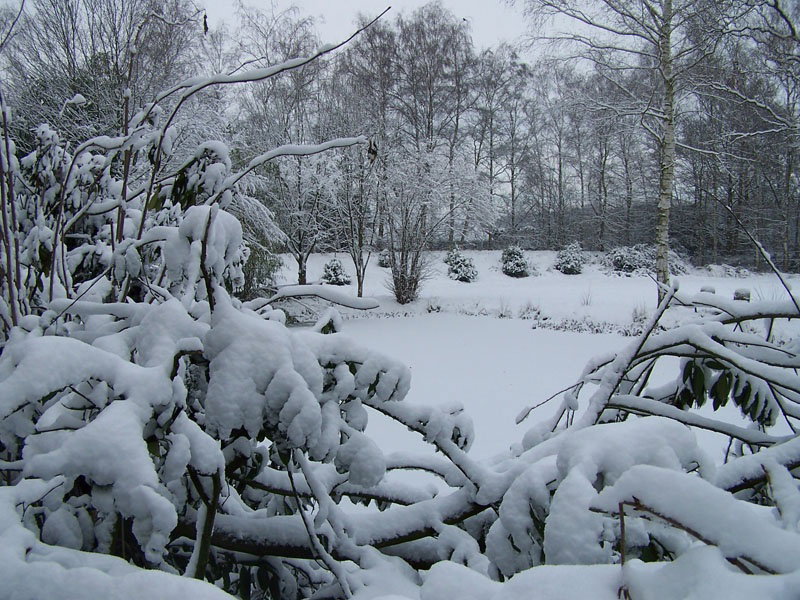 Naturhäuschen in Valkenswaard
