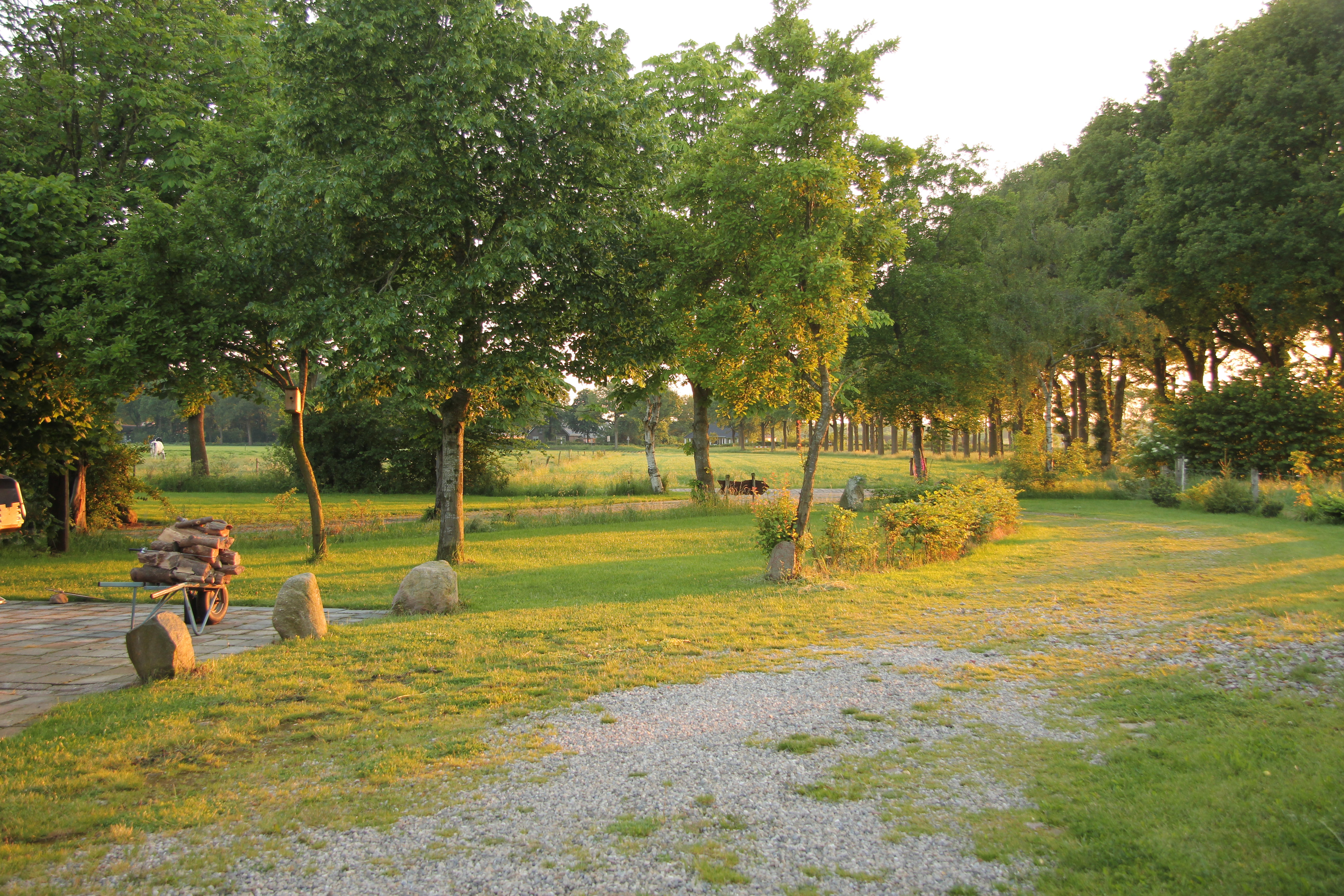 - image: 23