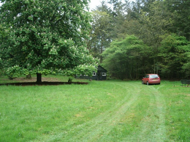 - image: 11