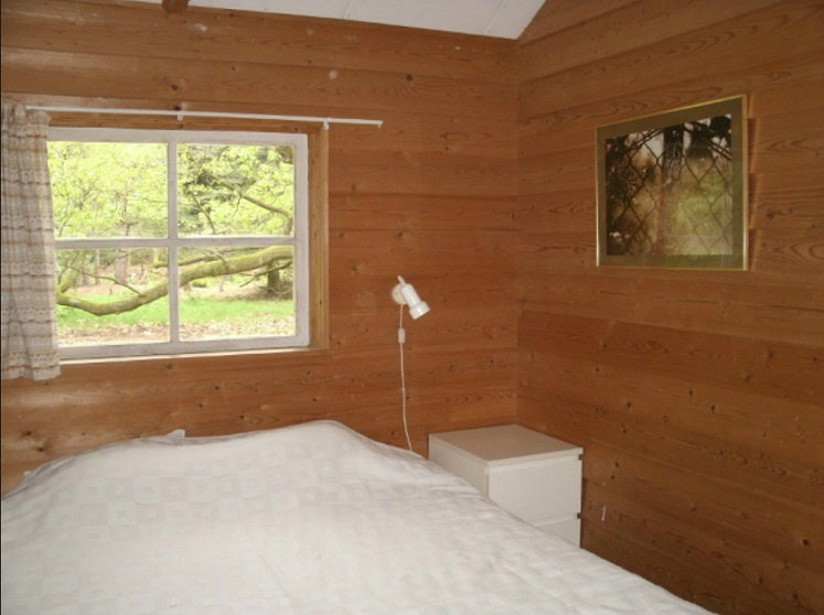 - image: 6