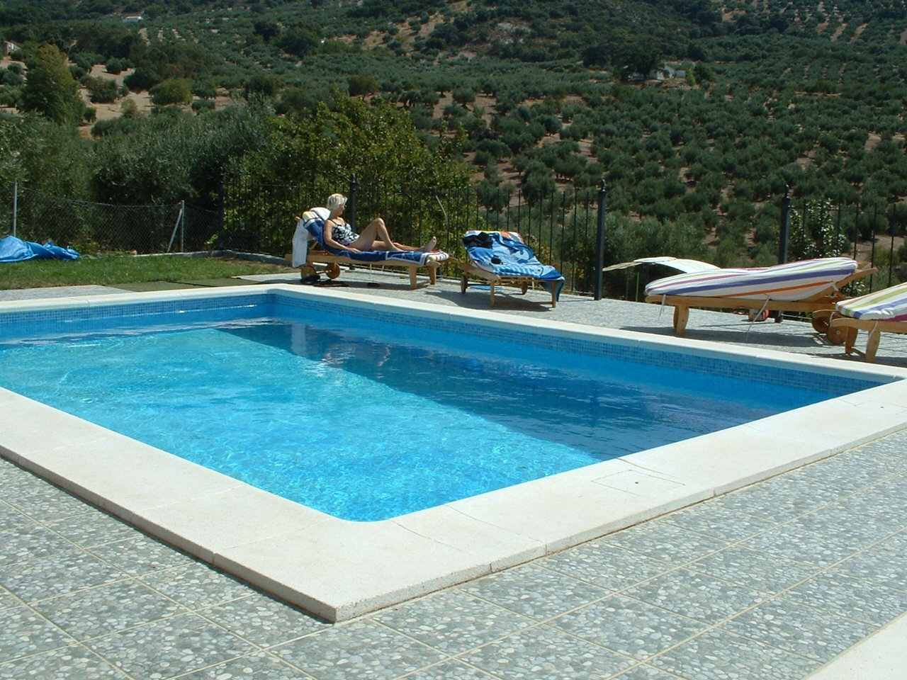- image: 11