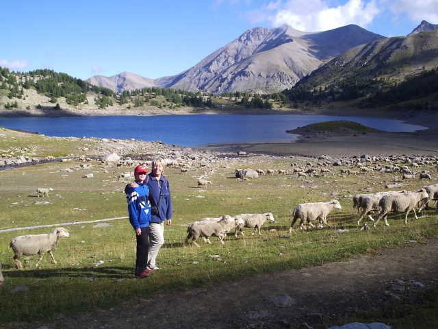 - image: 14