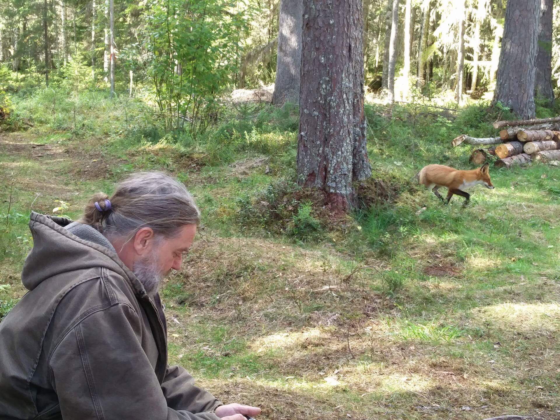 Naturhäuschen in gällö