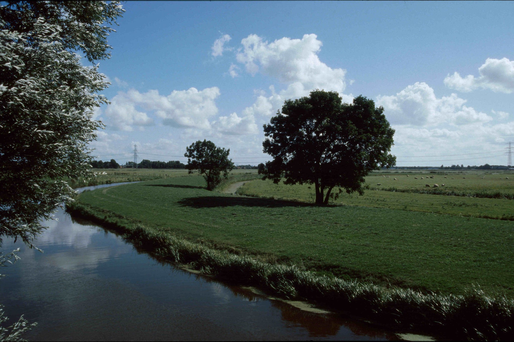- image: 10