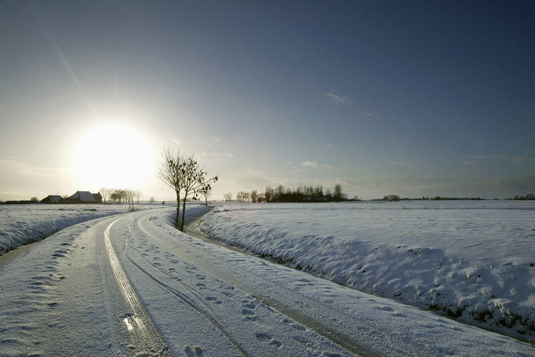 - image: 12