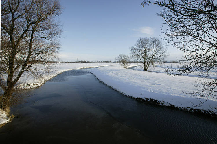 - image: 13