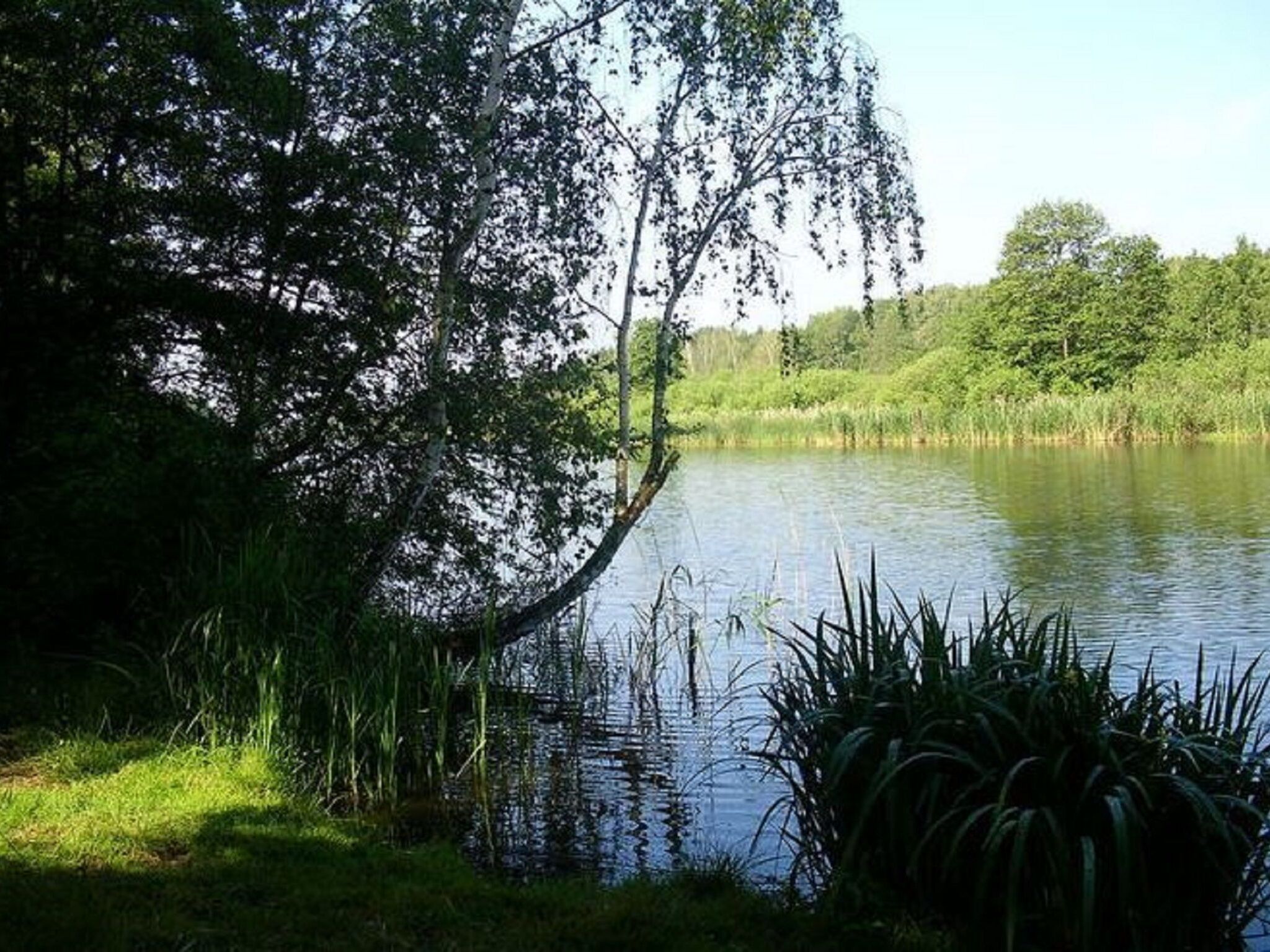 - image: 12