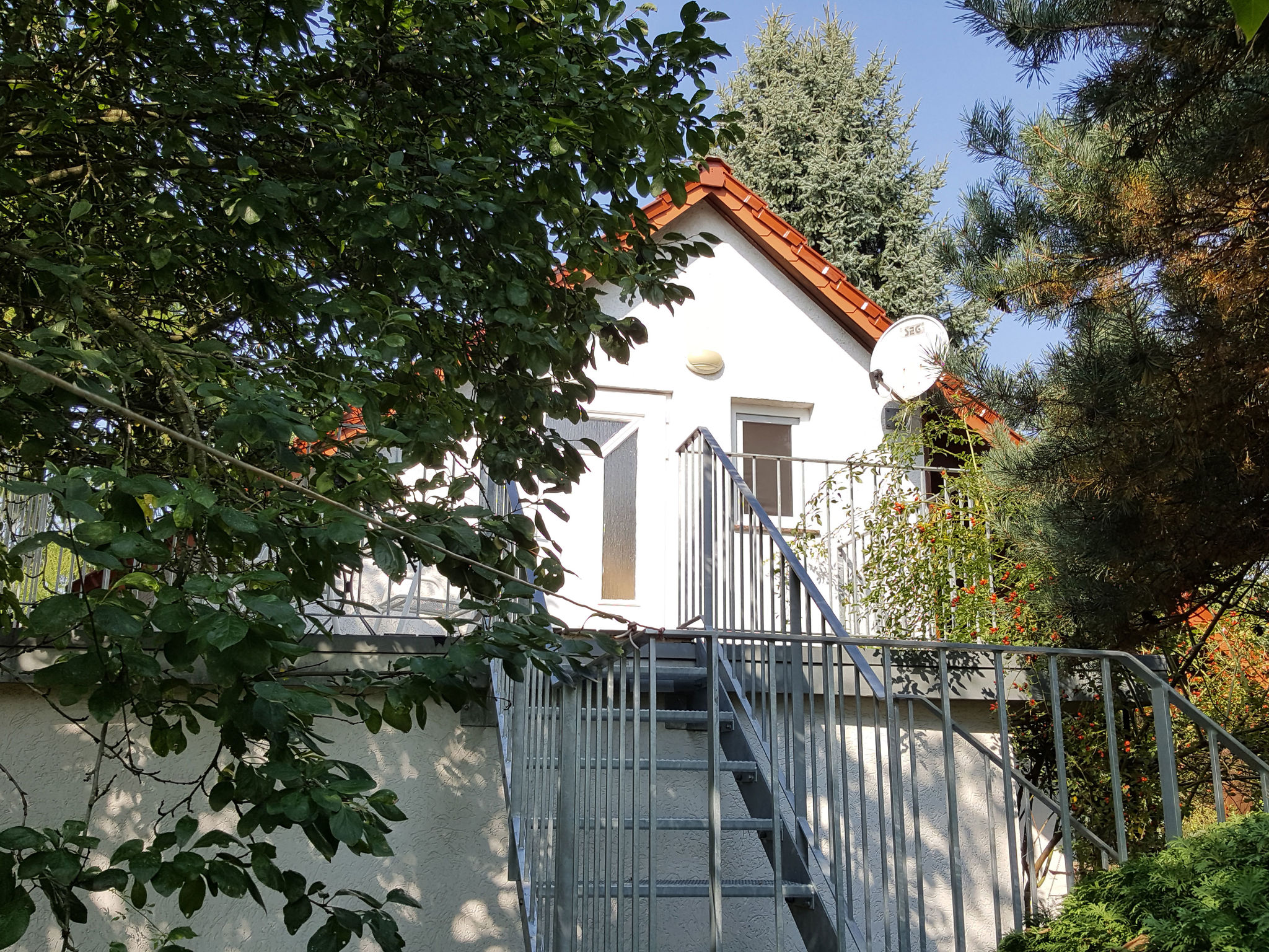 - image: 1