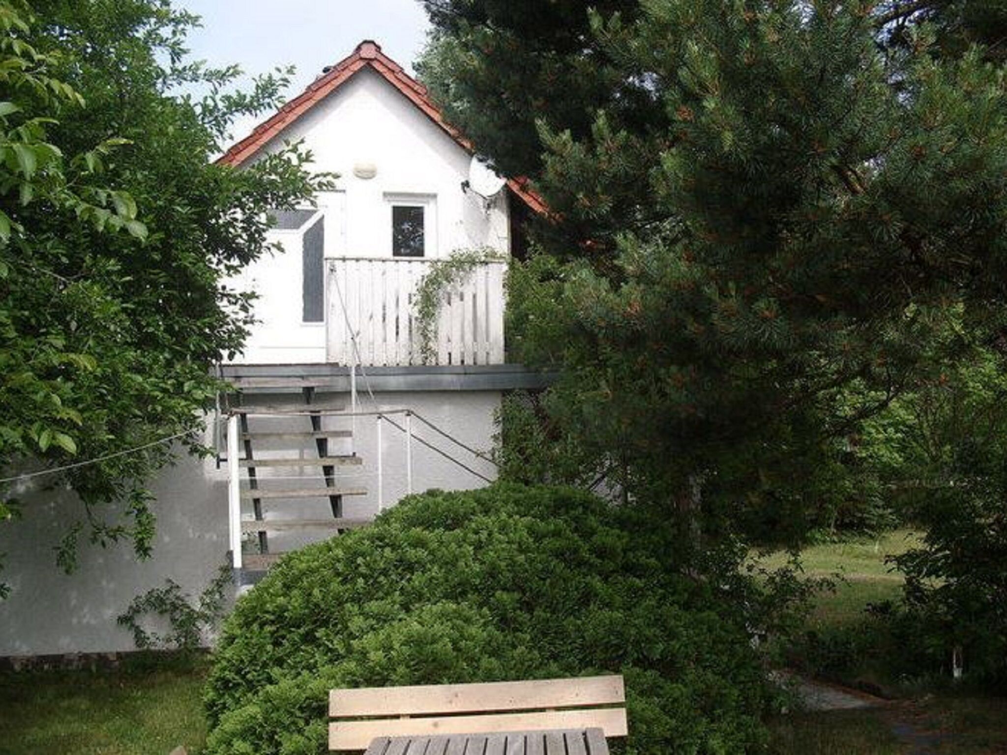 - image: 11