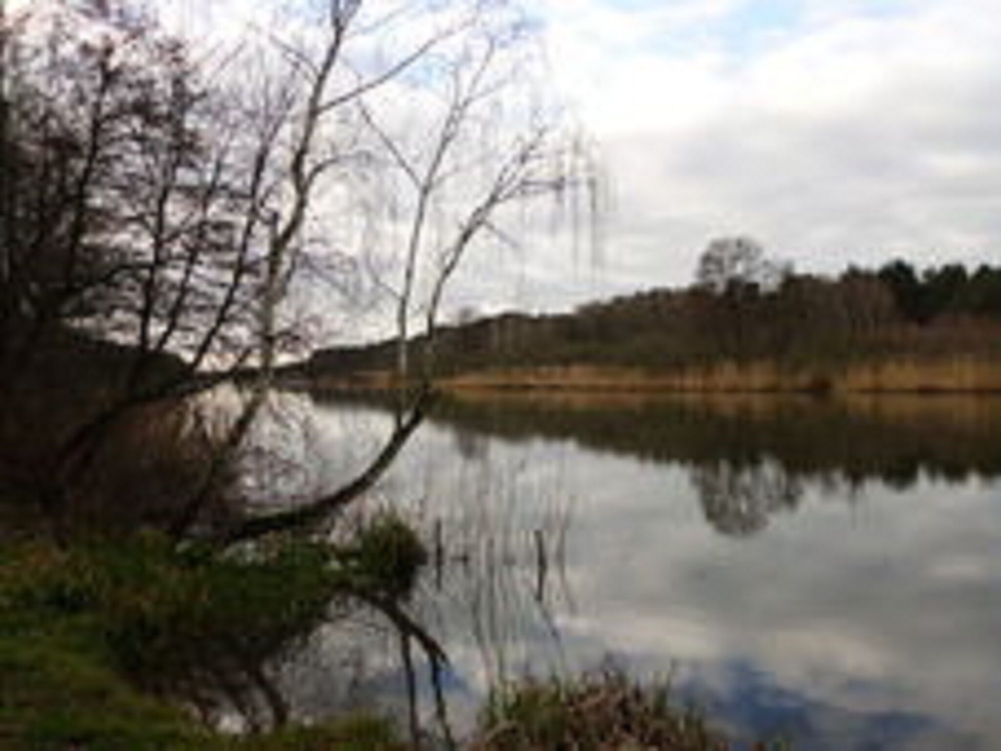 - image: 15