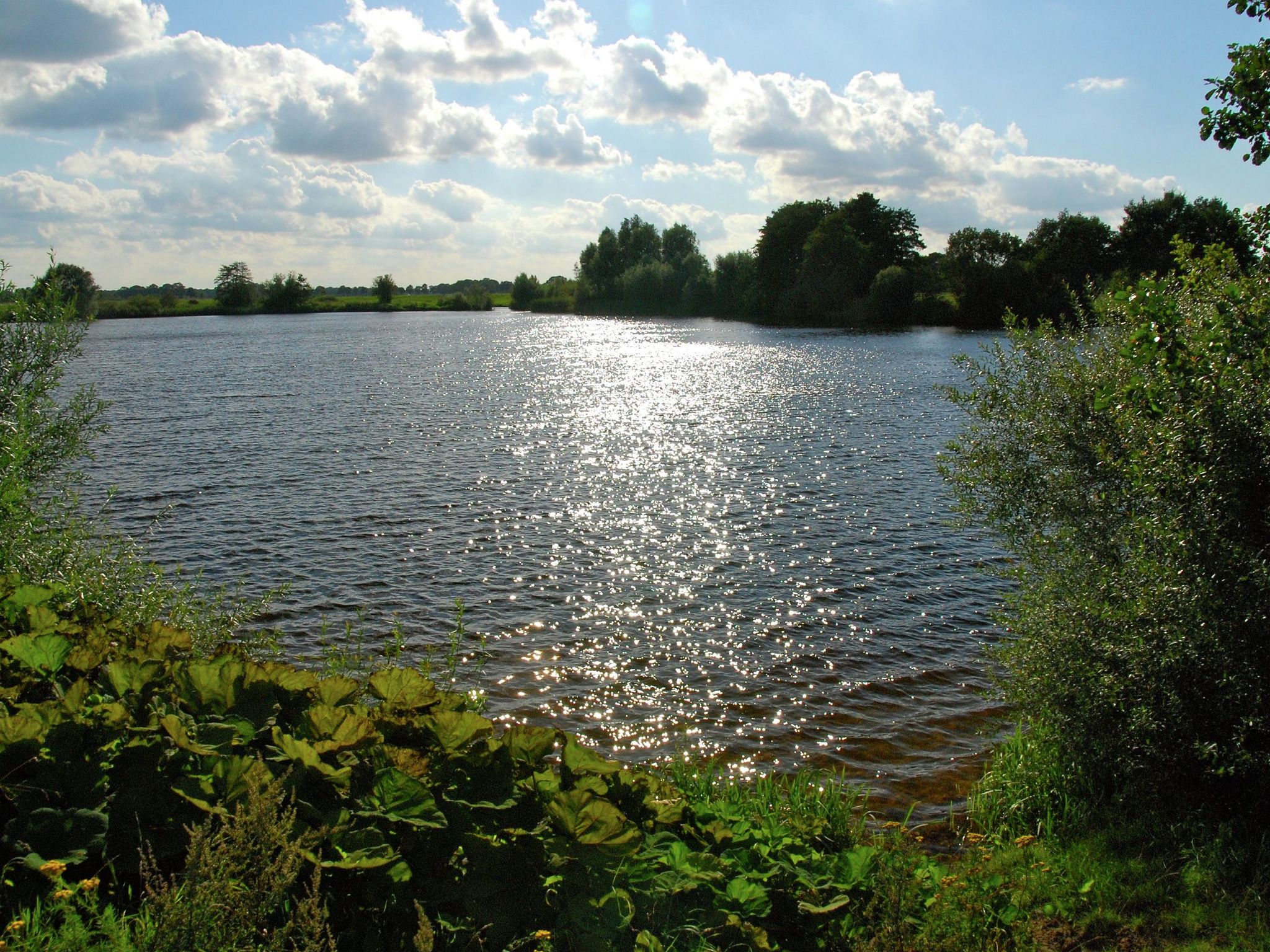 - image: 13