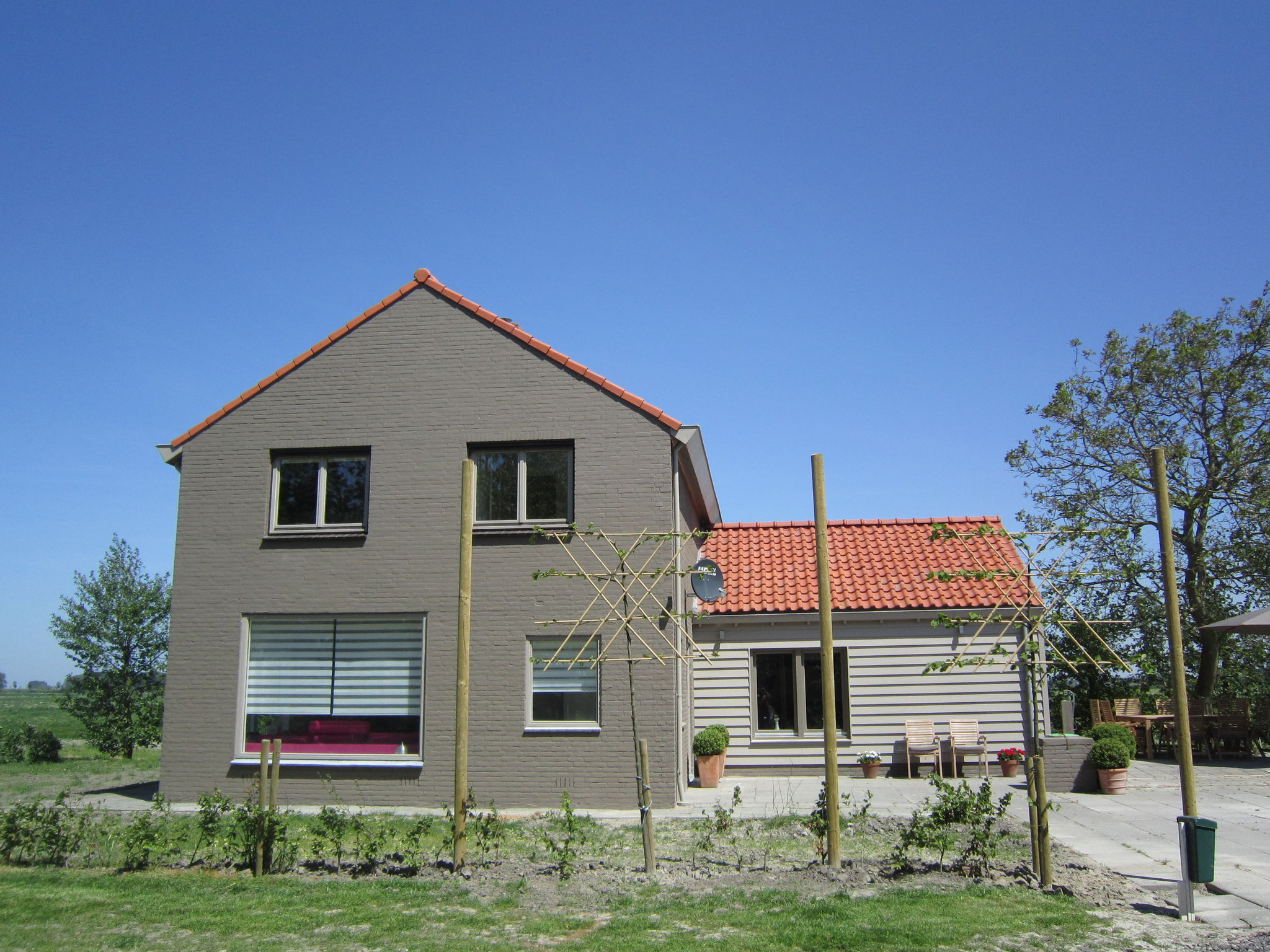 - image: 2