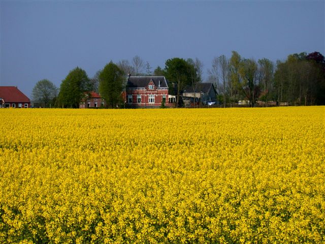 Naturhäuschen in Nieuwolda