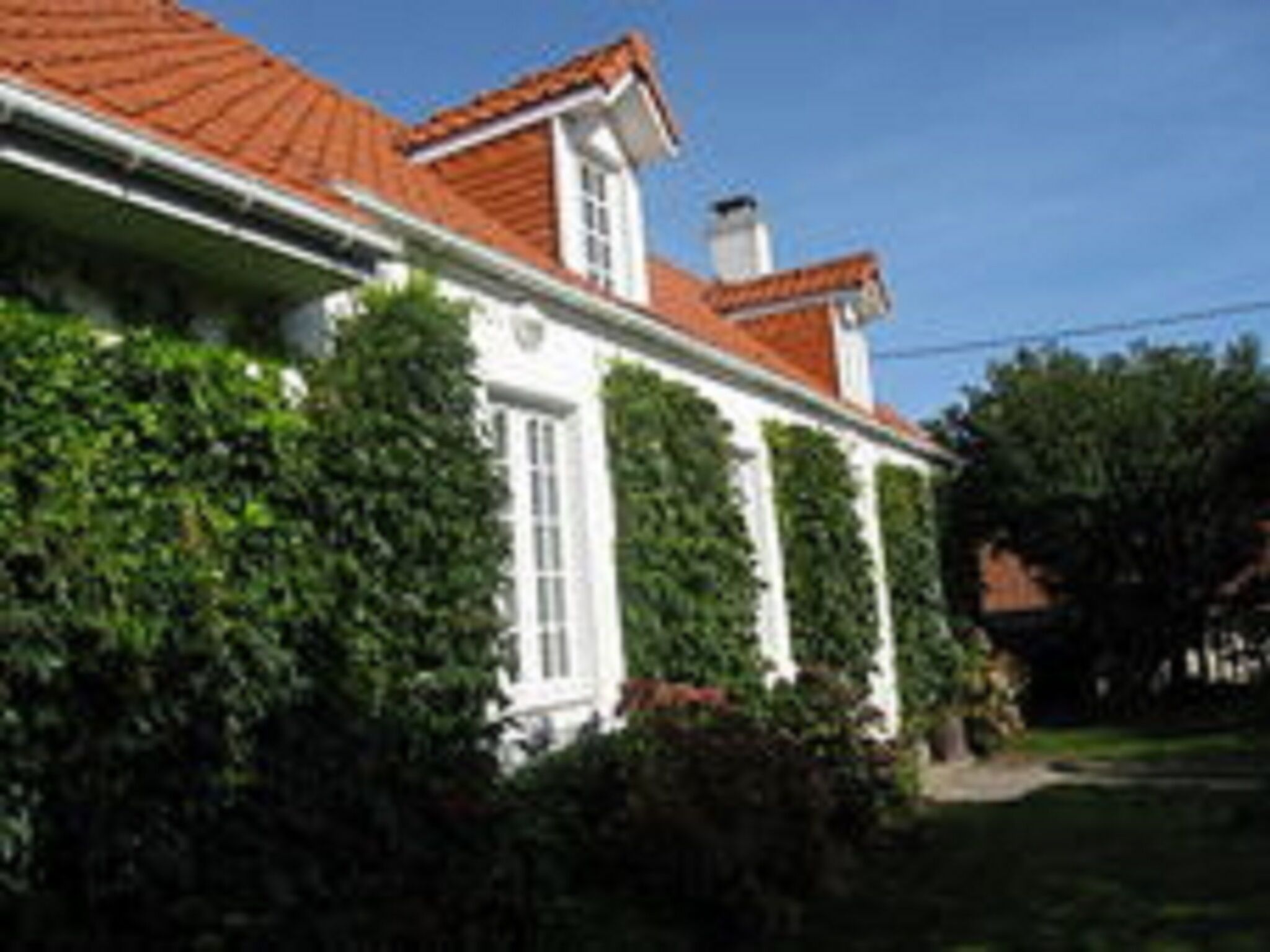 - image: 20