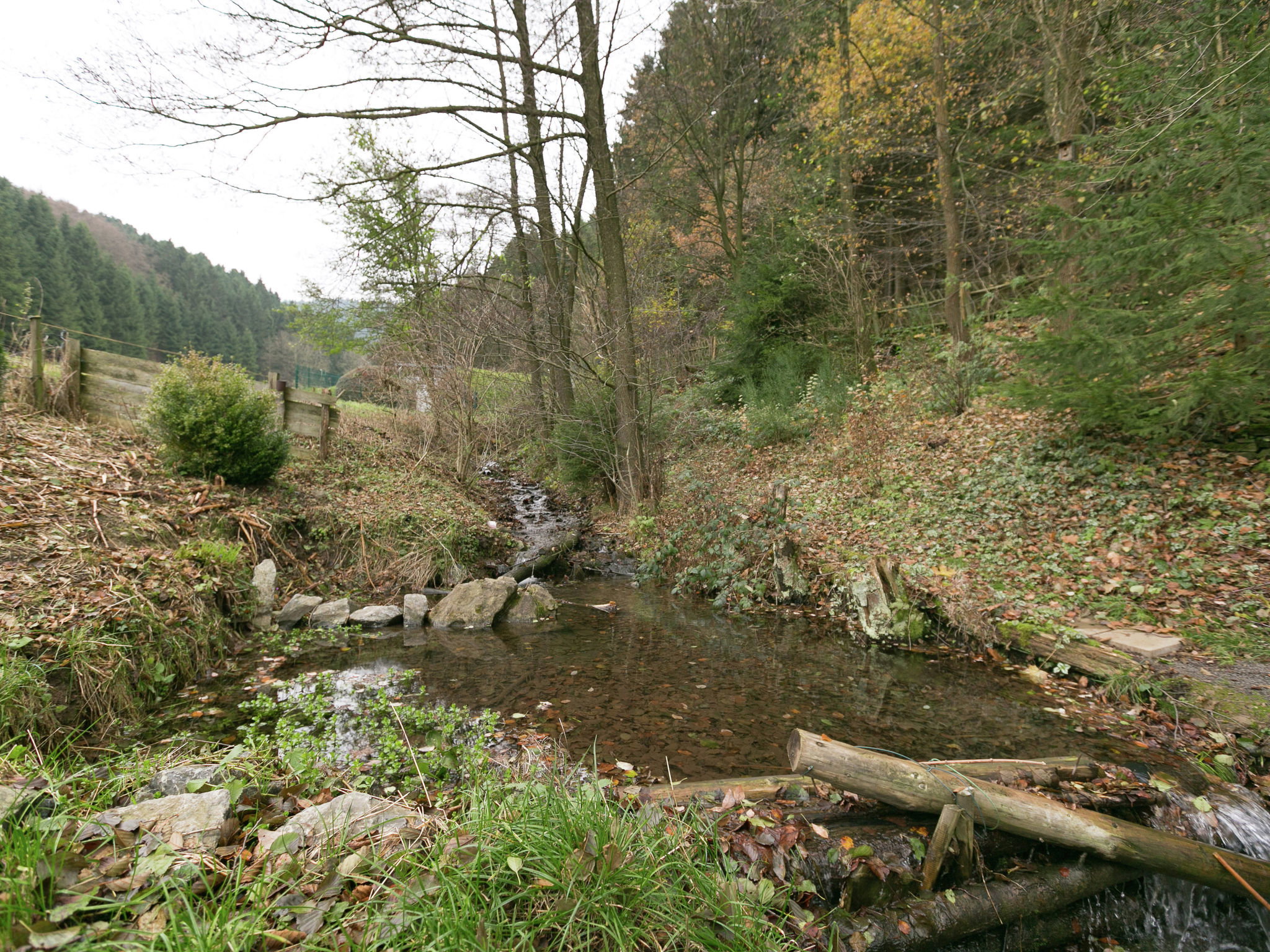 - image: 20