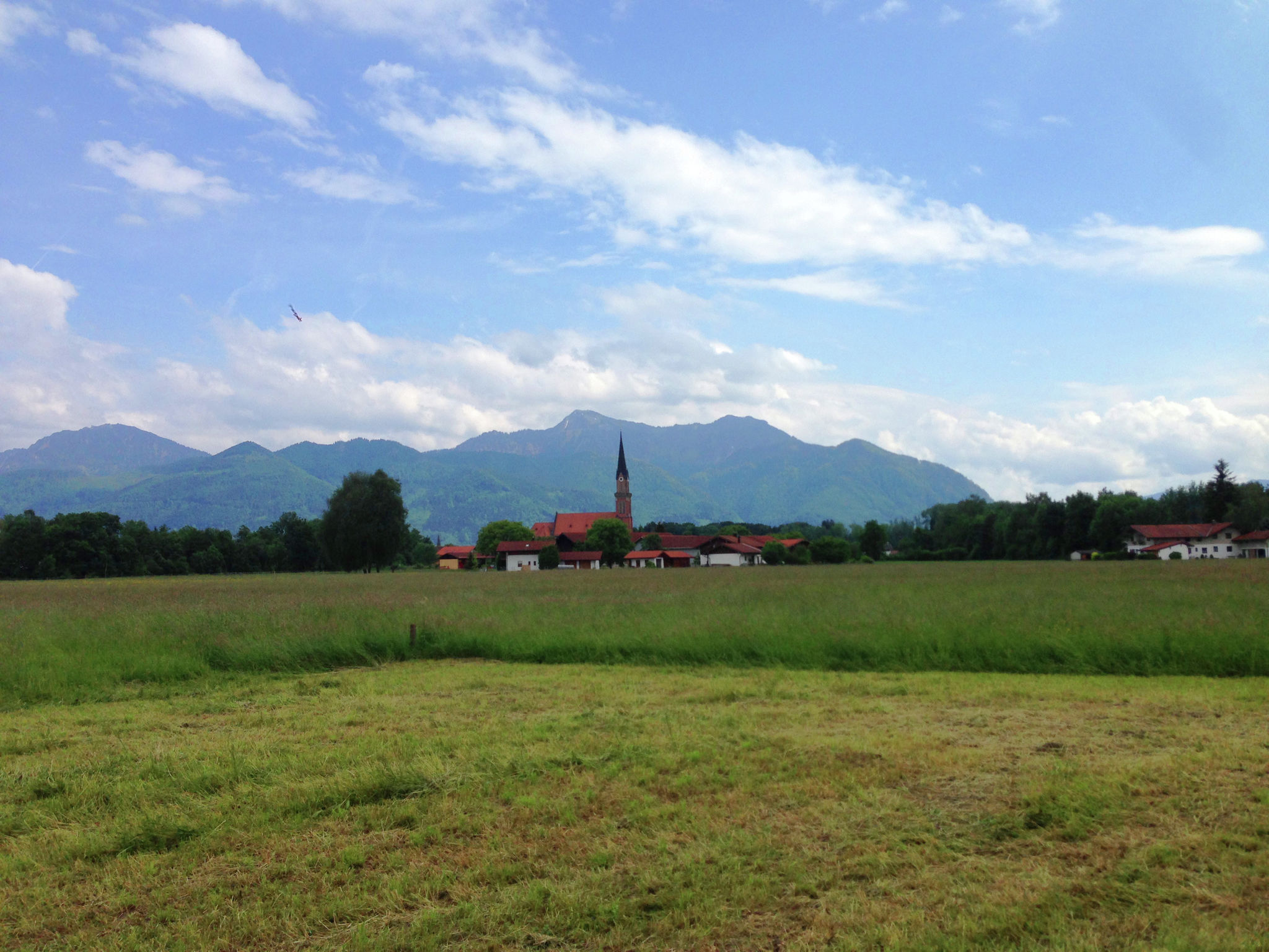 - image: 25